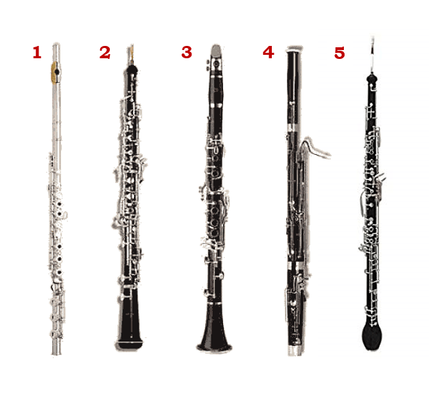 Differences Between The Oboe Flute Clarinet Bassoon And English Horn Medina Reeds Canas For Oboe And English Horn Oboe Reeds English Horn